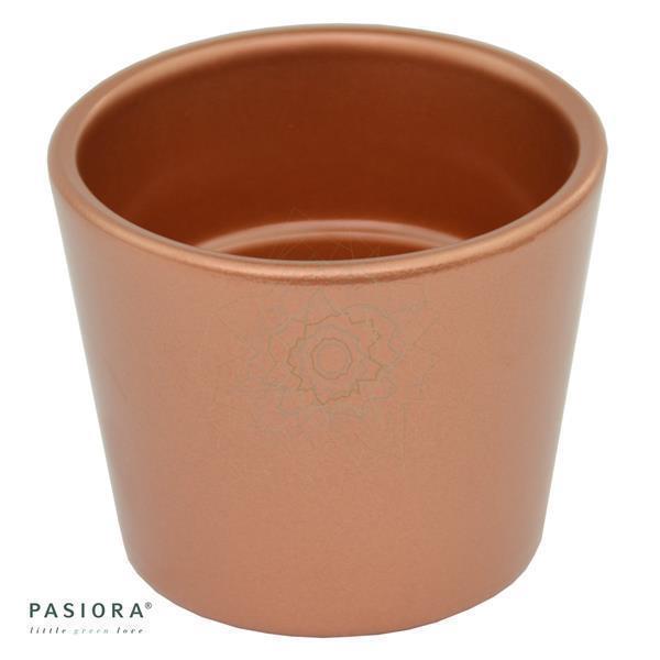 Übertopf KUPFER für 6cm Sukkulenten
