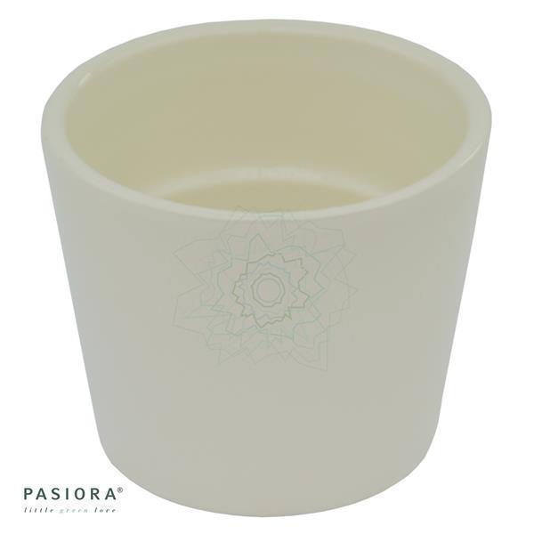 Übertopf CREME für 6cm Sukkulenten