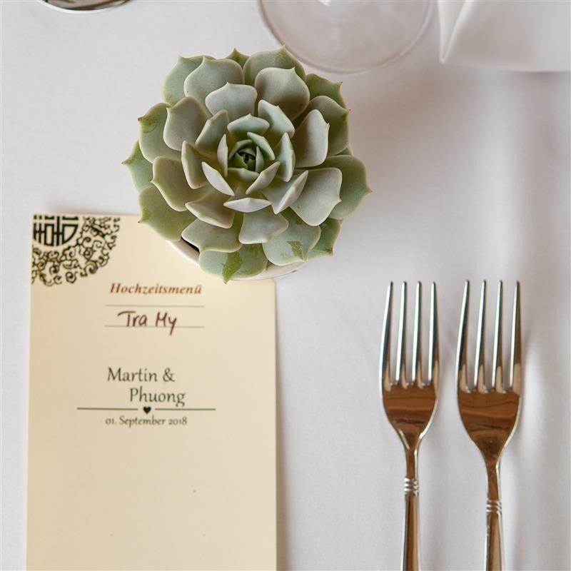 Rosetten - Exclusive