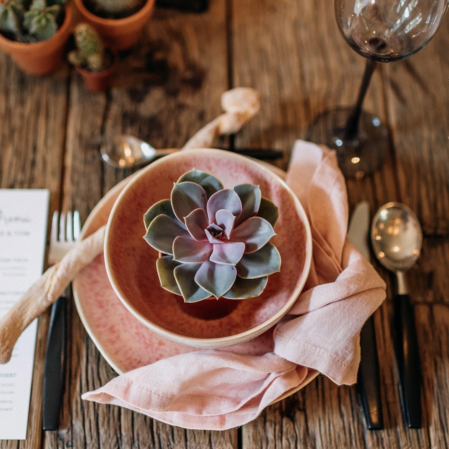 Sukkulenten Gastgeschenke zusammenstellen