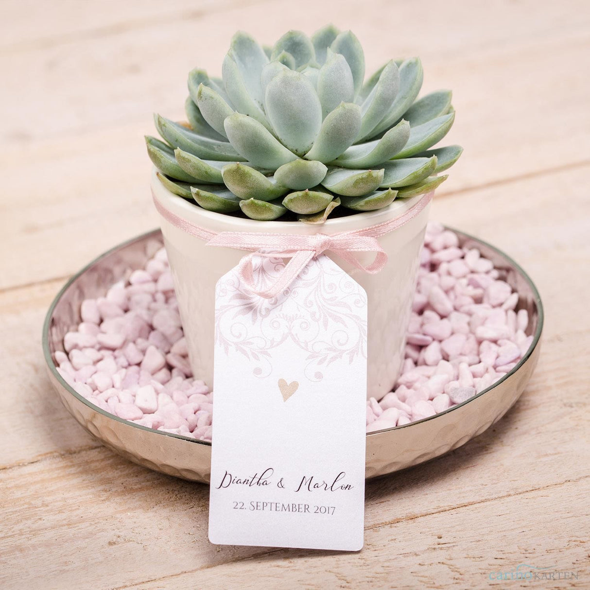 Assemble succulent party favors