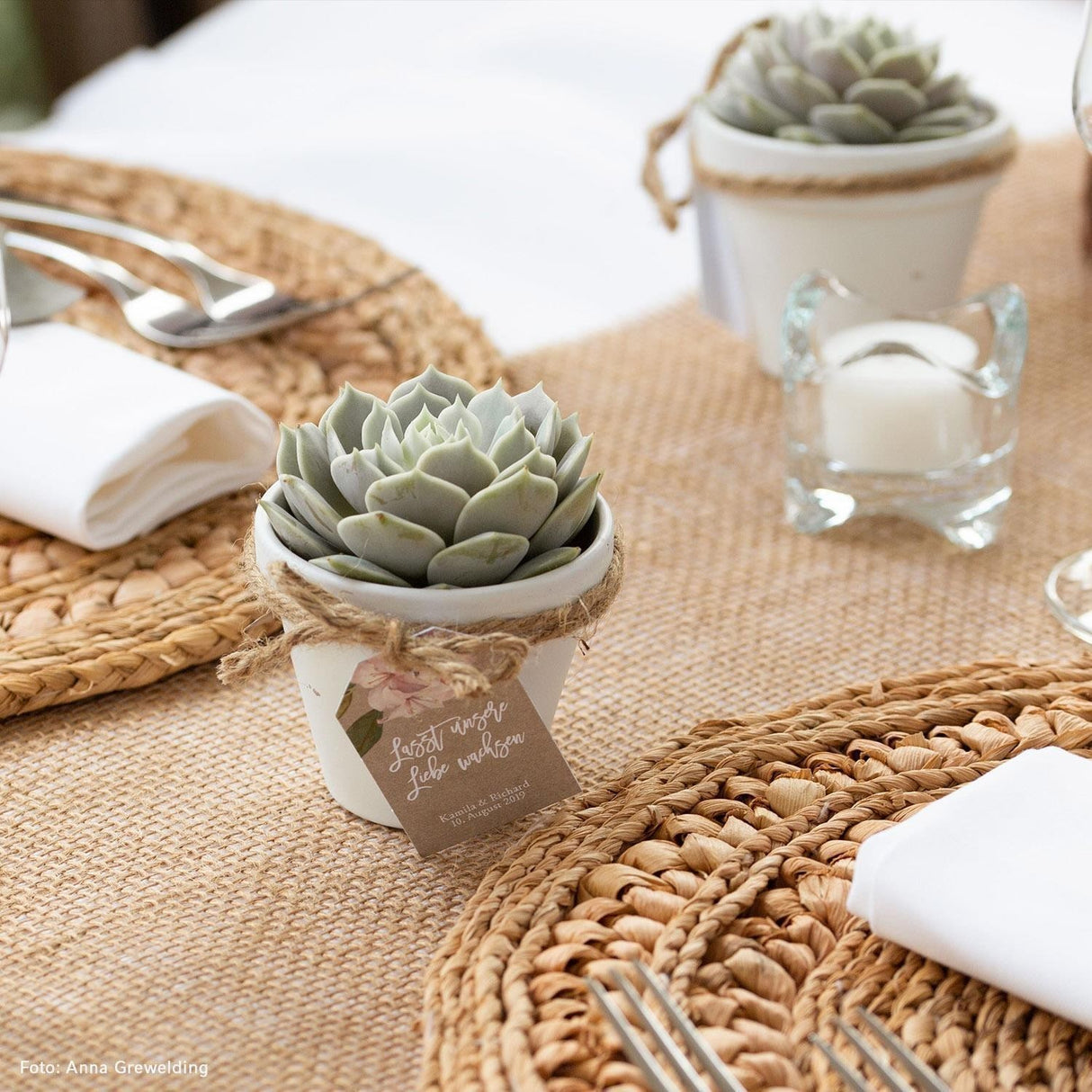 Assemble succulent party favors