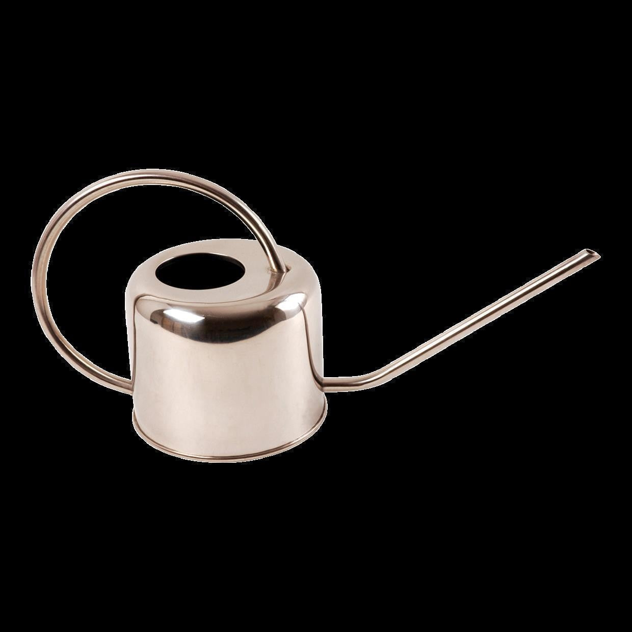 Stainless steel watering can 1l