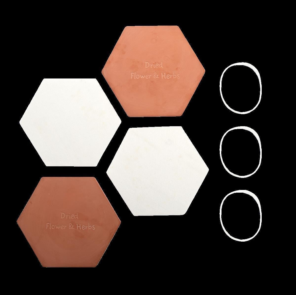 Microwave Flower and Herb Press