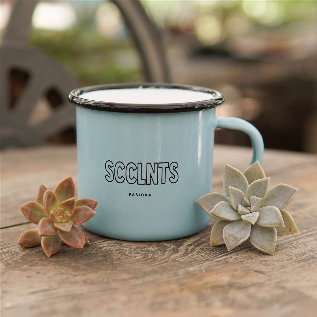 Pasiora Emaille-Tasse mit Sukkulenten-Motiv