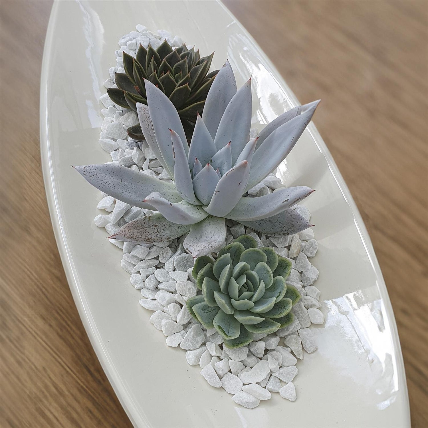 Cuttings für die Dekoration