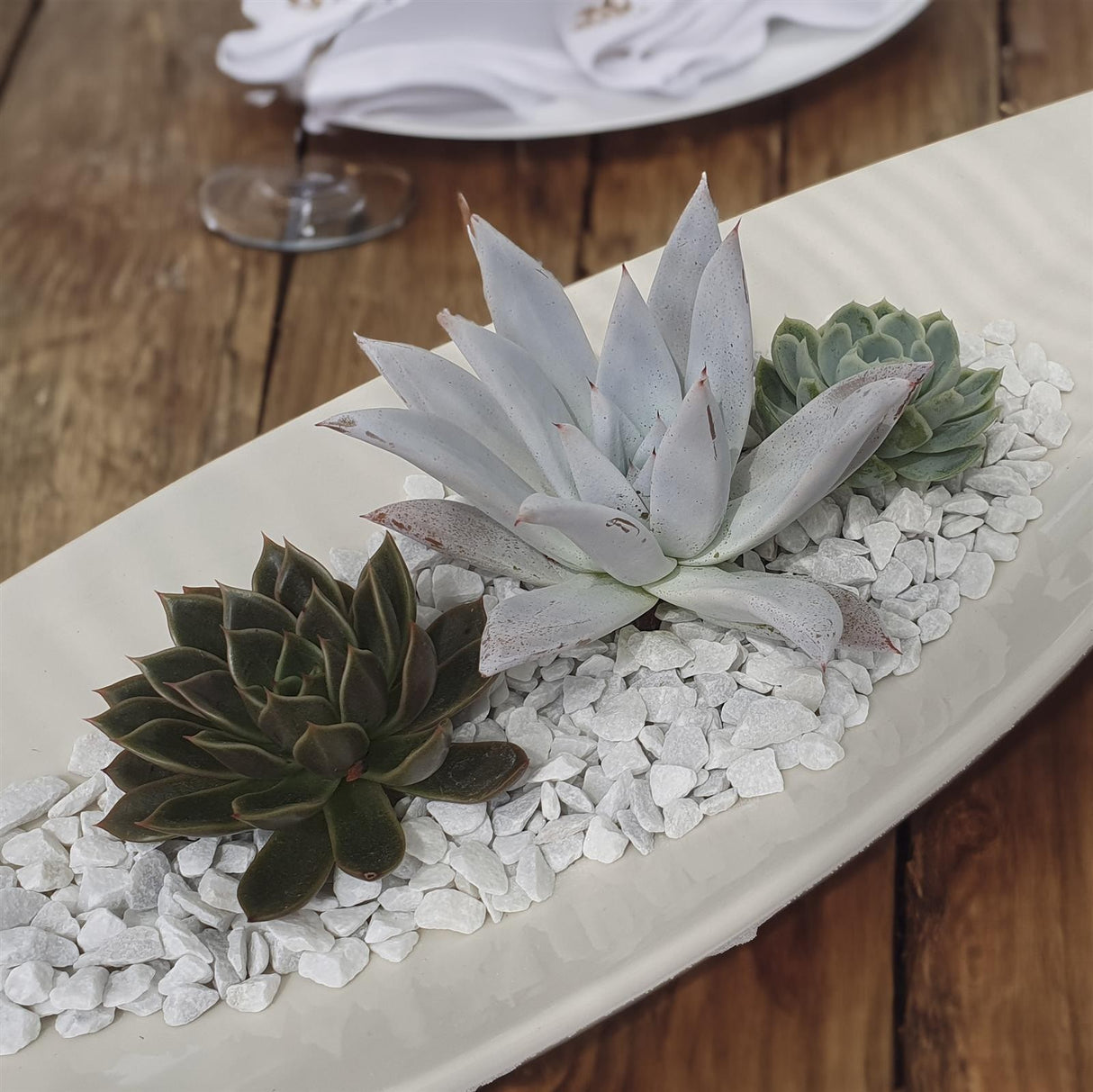 Cuttings für die Dekoration