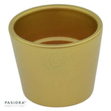 Gold decorative pot for 6cm succulents