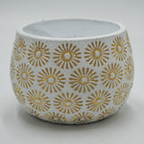 Übertopf SUNNY für 8,5cm Sukkulenten