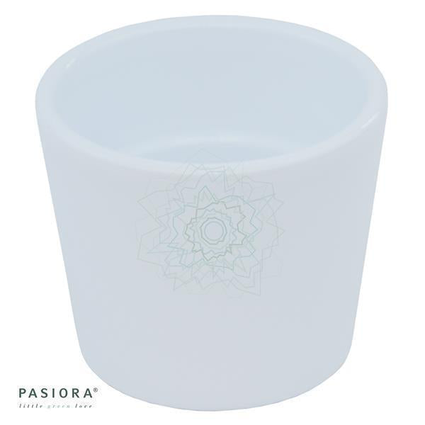 White cachepot for 6cm succulents