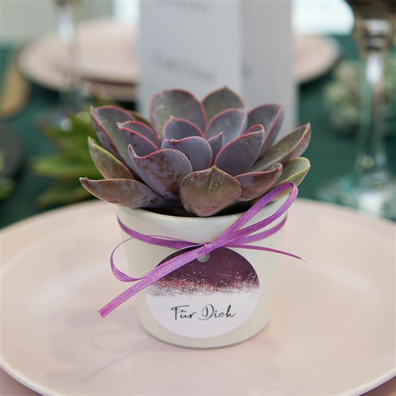 Guest gift sample