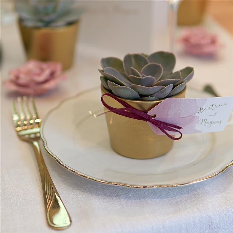 Gold decorative pot for 6cm succulents