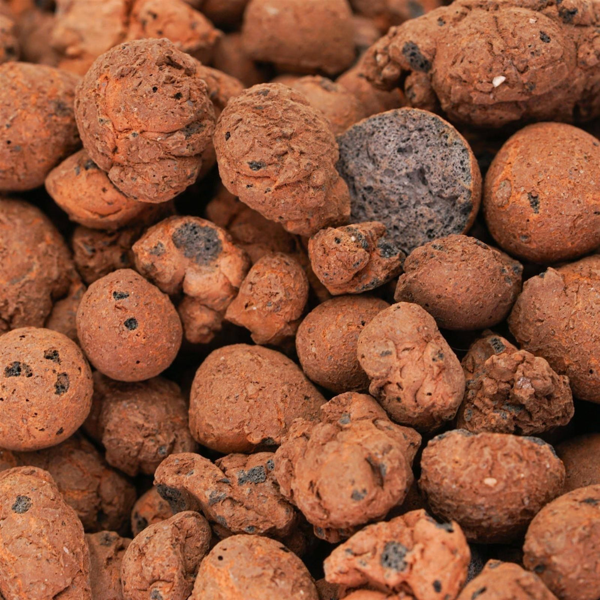 Blähton - Clay Granulate (8-16mm)