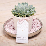 Assemble succulent party favors