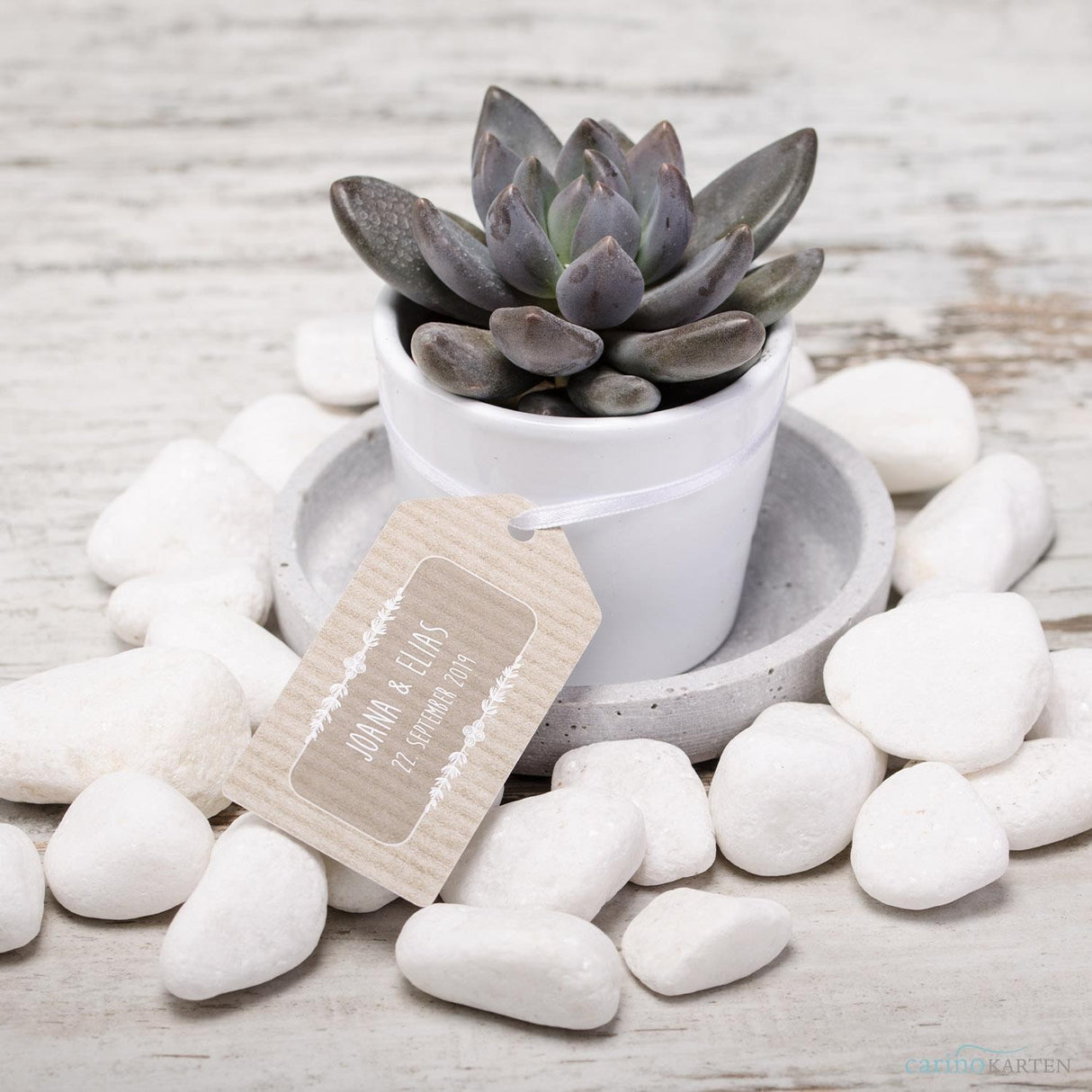 Assemble succulent party favors
