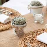 Assemble succulent party favors