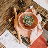 Assemble succulent party favors