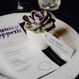 Assemble succulent party favors