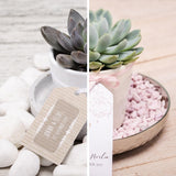 Assemble succulent party favors