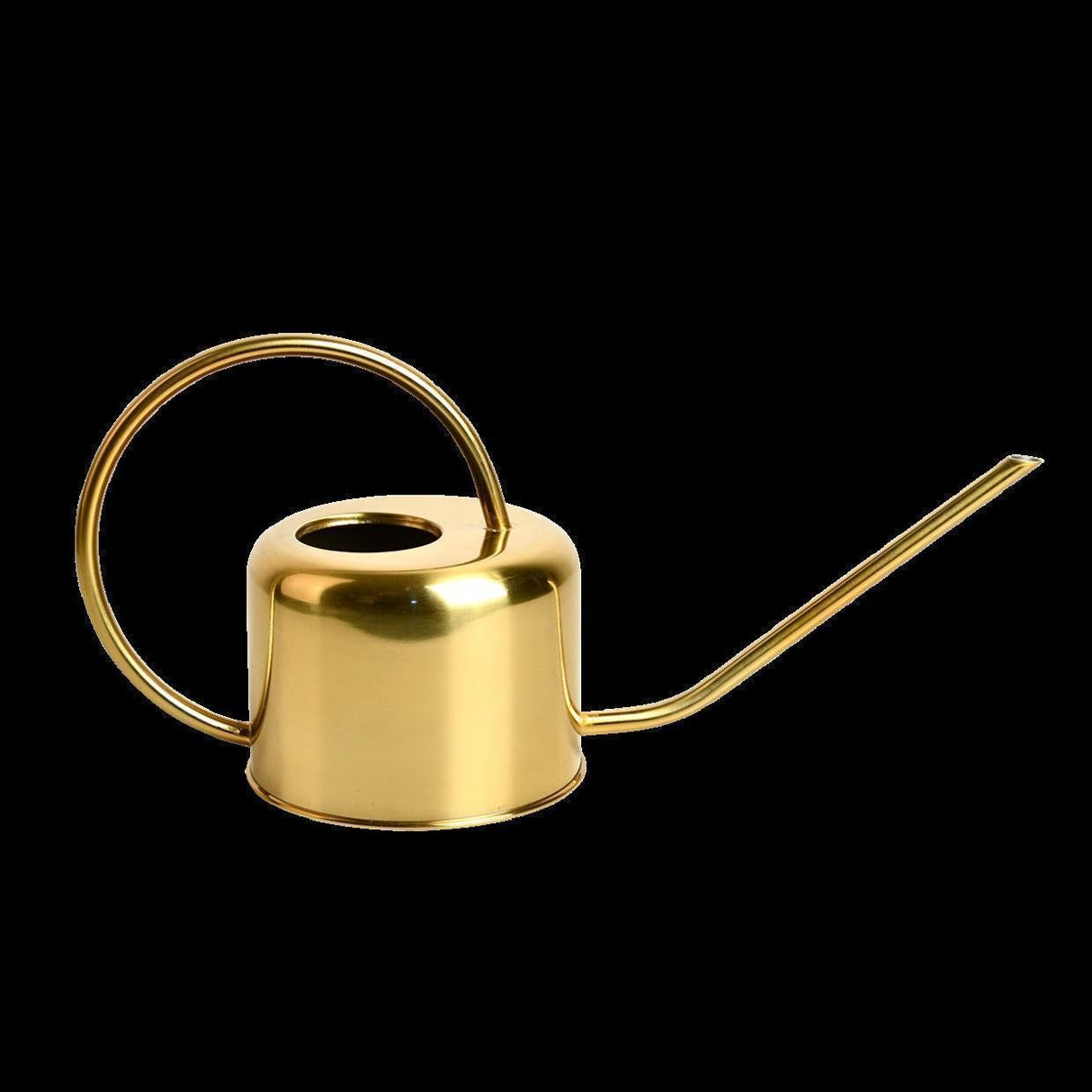 Golden Watering Can