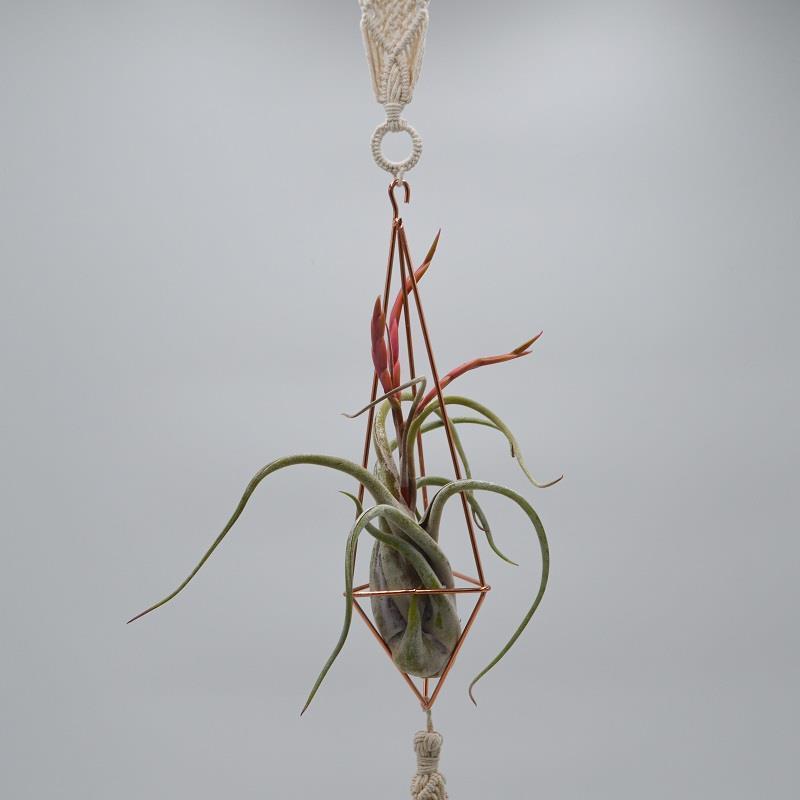 Himmeli Boho