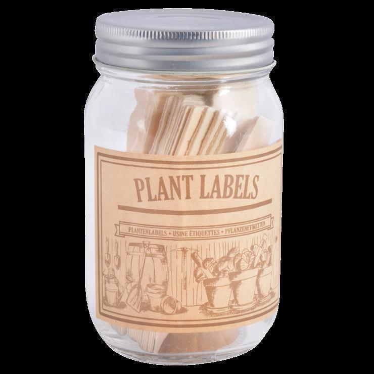 Wooden plant signs in glass