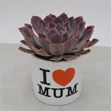 I love Mom - Planter