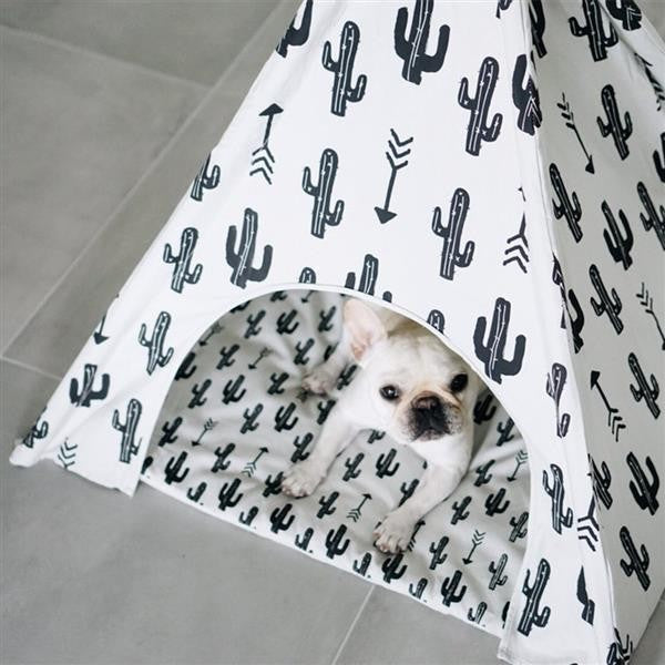 Cactus Teepee for Dogs