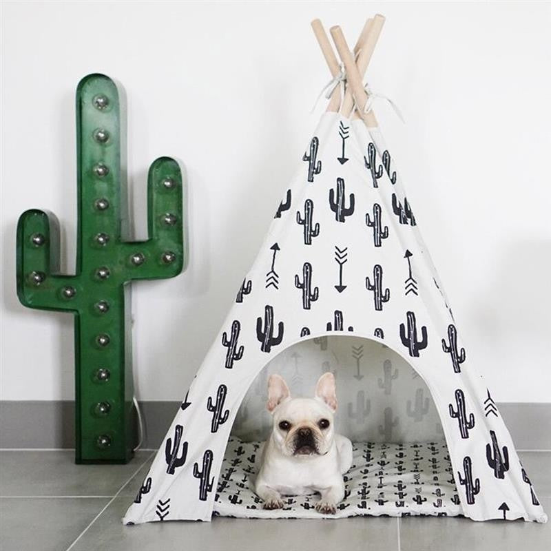 Cactus Teepee for Dogs