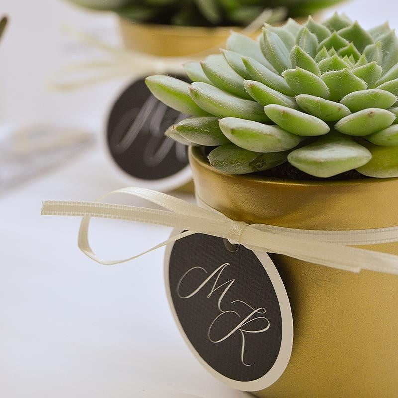 Gold decorative pot for 6cm succulents