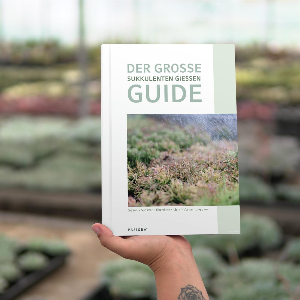 How to water succulents correctly - 60-page guide