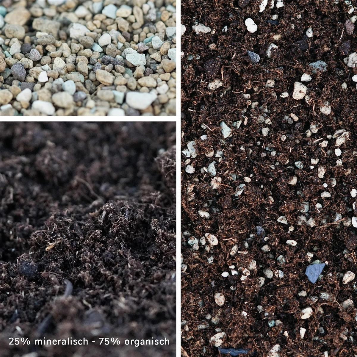 2.5l Premium Special Substrate with Activated Charcoal for Succulents and Cacti - Indoor Plant Soil
