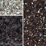 2.5l Premium Special Substrate with Activated Charcoal for Succulents and Cacti - Indoor Plant Soil