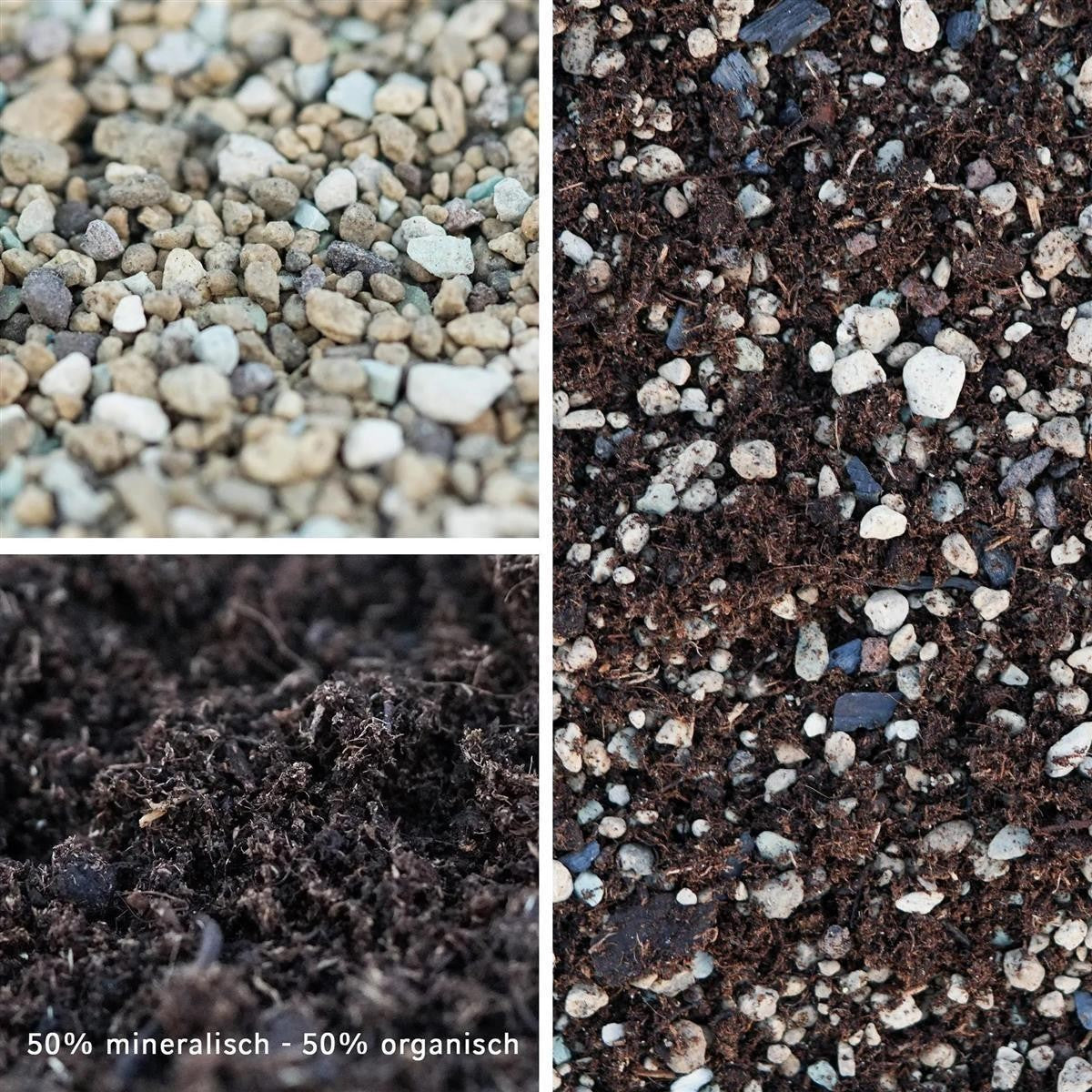 2.5l Premium Special Substrate with Activated Charcoal for Succulents and Cacti - Indoor Plant Soil