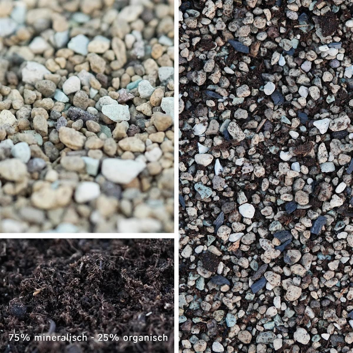 2.5l Premium Special Substrate with Activated Charcoal for Succulents and Cacti - Indoor Plant Soil