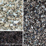 2.5l Premium Special Substrate with Activated Charcoal for Succulents and Cacti - Indoor Plant Soil