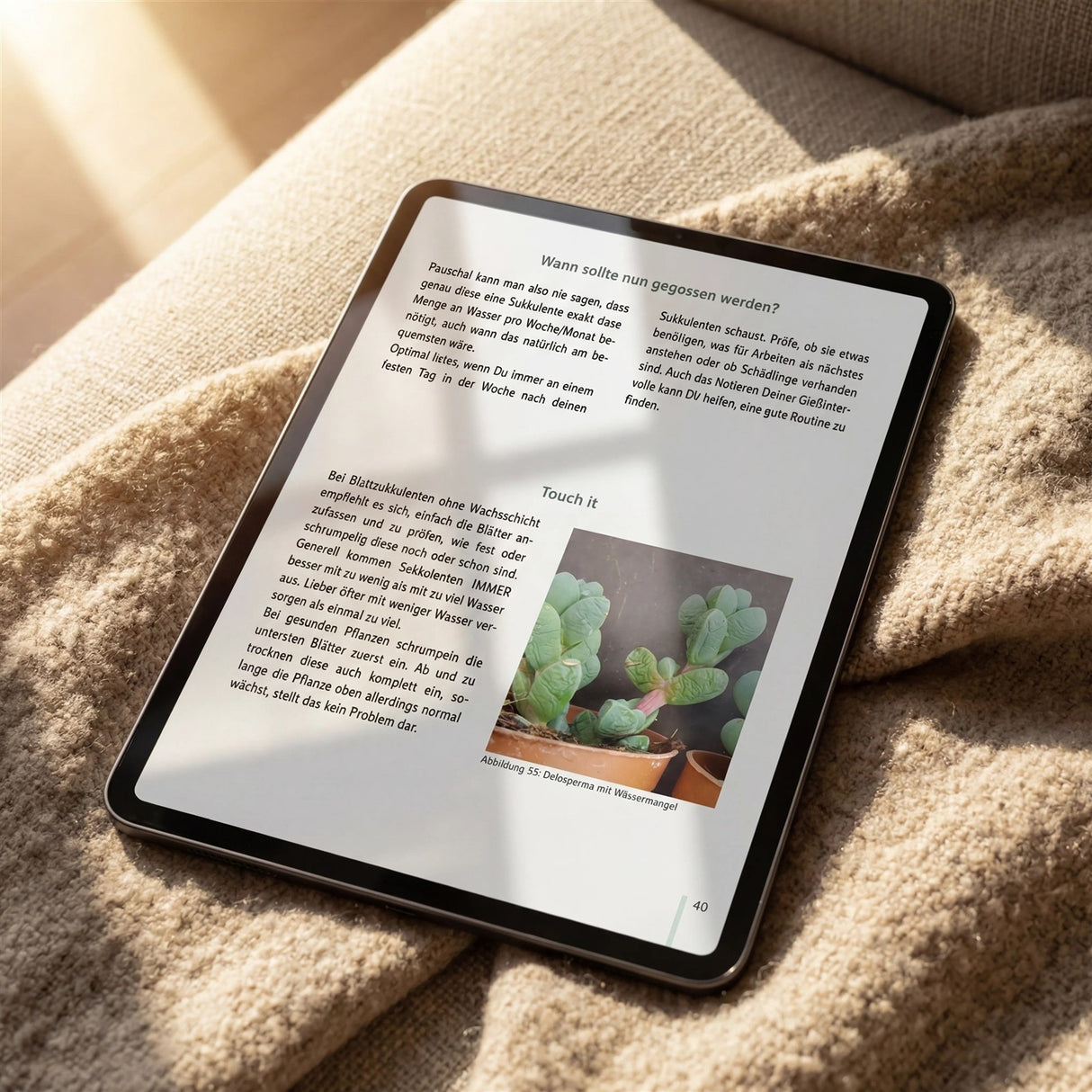 Watering Succulents Correctly - 60-page Guide (eBook)
