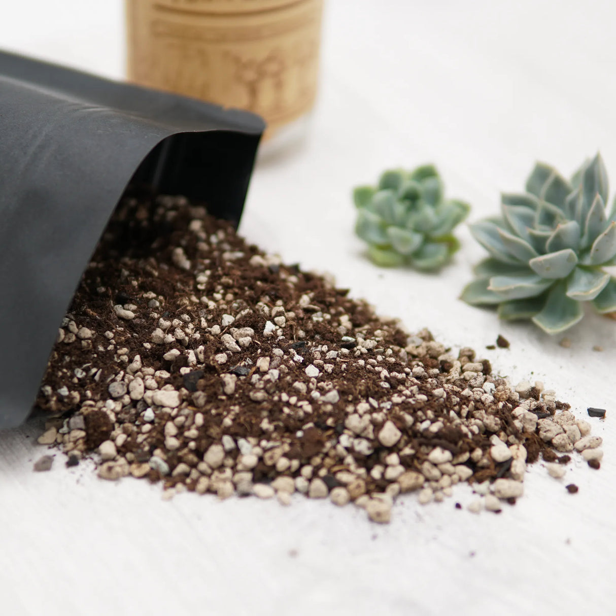 2.5l Premium Special Substrate with Activated Charcoal for Succulents and Cacti - Indoor Plant Soil