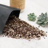 2.5l Premium Special Substrate with Activated Charcoal for Succulents and Cacti - Indoor Plant Soil