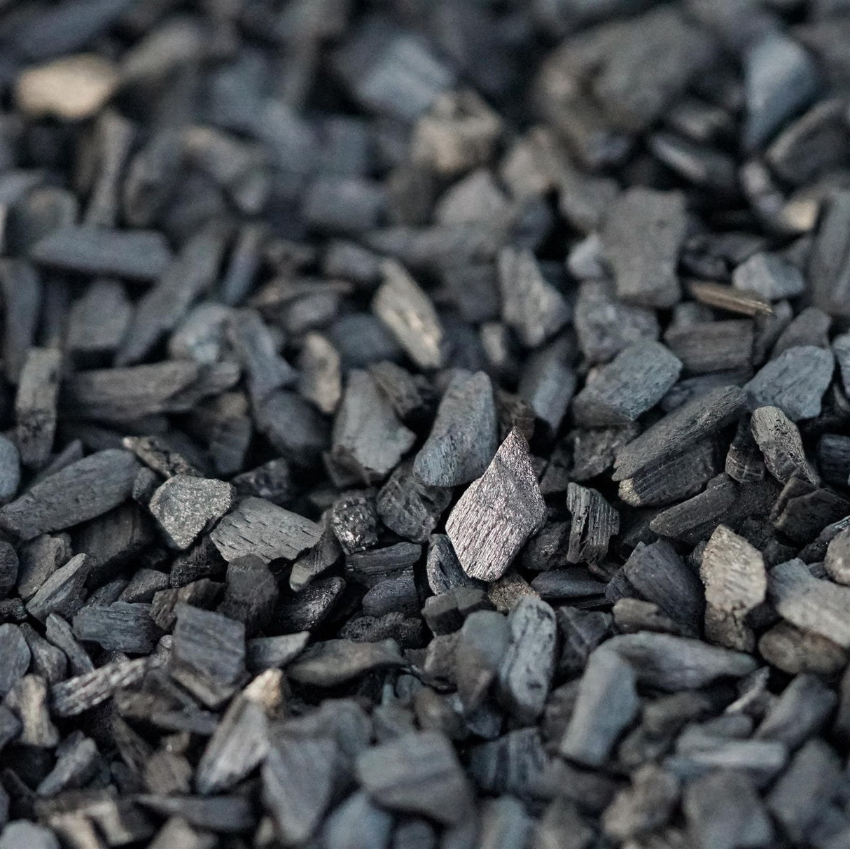 2.5l Premium Special Substrate with Activated Charcoal for Succulents and Cacti - Indoor Plant Soil