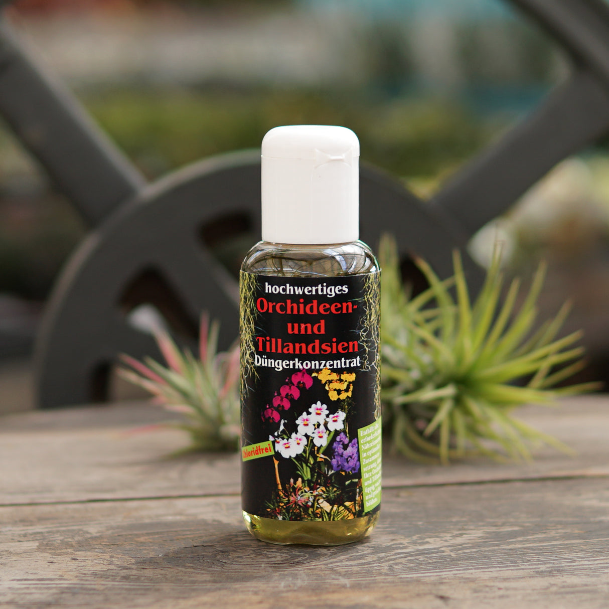 Tillandsia fertilizer