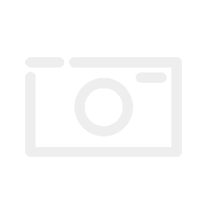 Crassula ovata f. variegata - 12cm