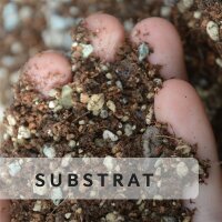 Substrates
