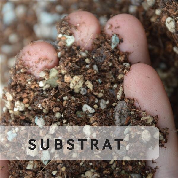 Substrates &amp; Soil