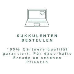 Sukkulenten online bestellen