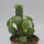 Euphorbia ritchiei - 12cm