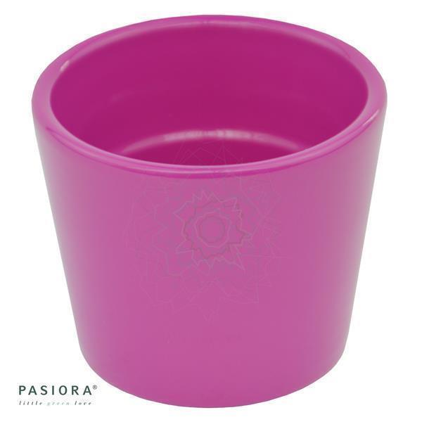 Übertopf, Fuchsia