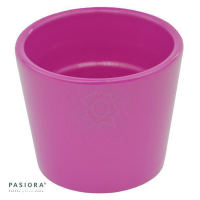 Übertopf, Fuchsia