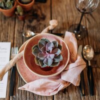 Succulent Give aways