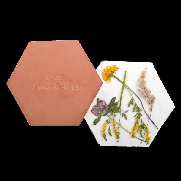 Mikrowelle Blumen- und Kräuterpresse